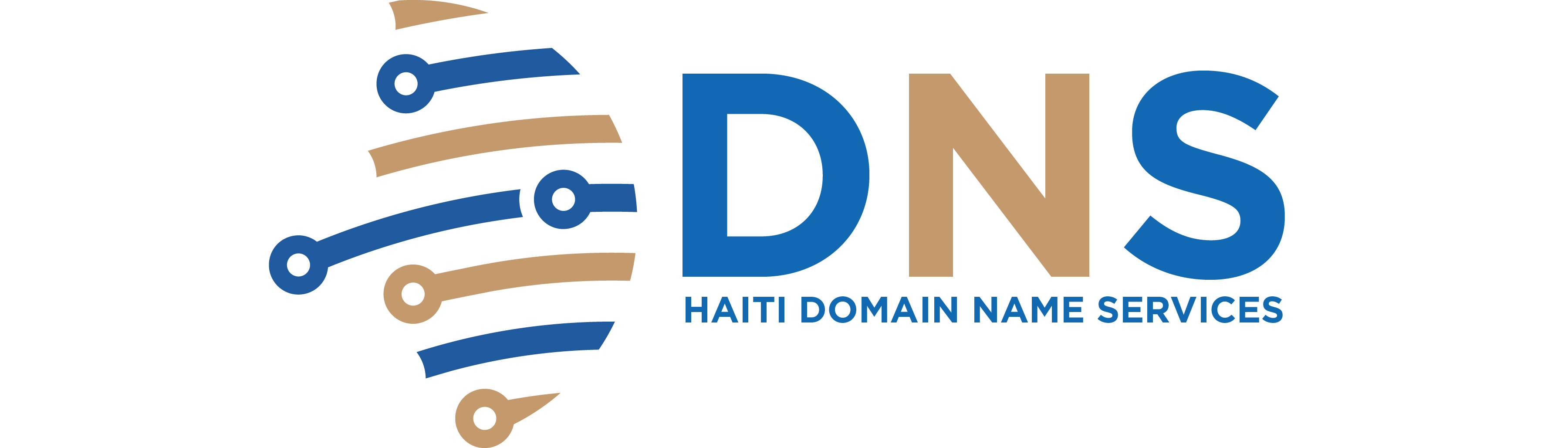 Haiti DNS
